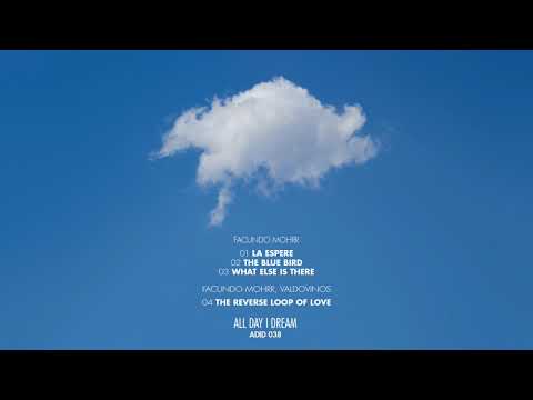 Facundo Mohrr, Valdovinos - The Reverse Loop Of Love [ADID038]