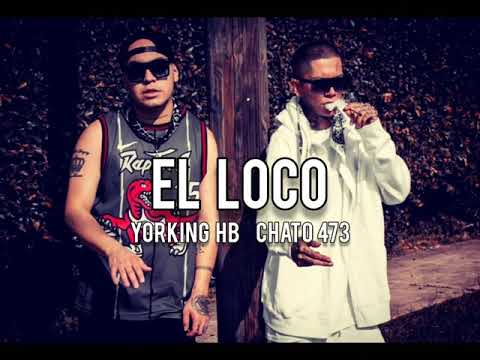 El loco Yorking hb  chato 473