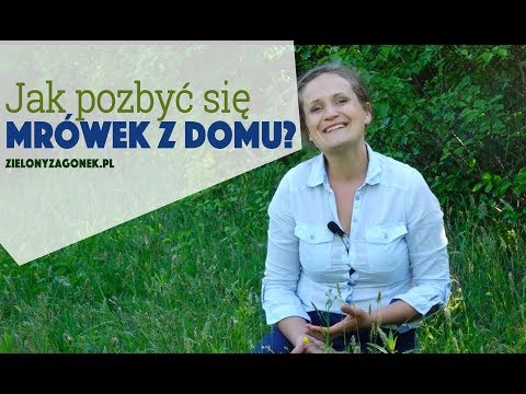 Co oznacza koślawego deformacji stóp u dzieci Koślawe Wkładki permu