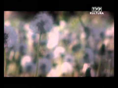 POTTY UMBRELLA - POZA KONTROLĄ cz. 2