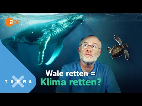 Vorschaubild Video
