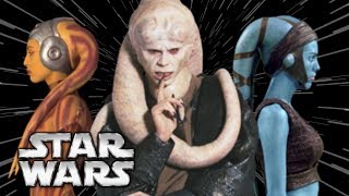 Twi'lek Species Biology, Society, and History