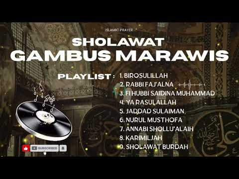 SHOLAWAT GAMBUS MARAWIS ZAPIN || BIROSULILLAH #gambus 