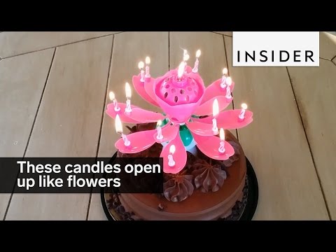 download lagu mp3 mp4 Flower Candle That Opens Up, download lagu Flower Candle That Opens Up gratis, unduh video klip Flower Candle That Opens Up