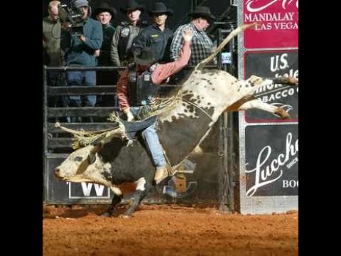 Cauy Hudson vs Ima Bad Cat - 04 PBR Atlanta (86.5 pts)