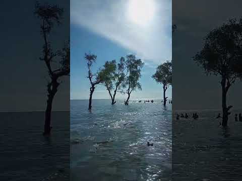 Sea beach guliakhali🌪️👻🤩 #beautyofnature #seabeach #subhanallah