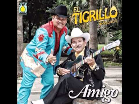 El Tigrillo Palma - Rey Pobre [Estudios 2015]
