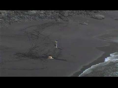 Tres En Playa - Sergio Candel - Cortos La Palma Rueda 2007