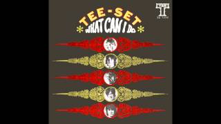 TEE-SET - What Can I Do