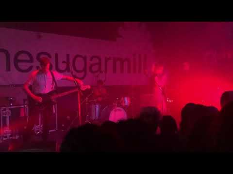 Wolf Alice - No Hard Feelings