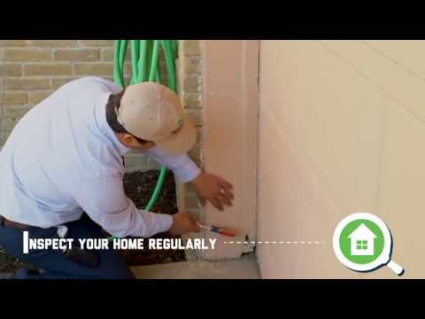 7 Steps to Prevent Termites and Protect Your Home