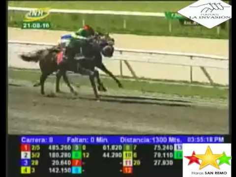 LA RINCONADA 9 CARRERA, DOMINGO 21 DE AGOSTO DEL 2016