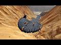 Satisfying Videos Of Workers Doing Their Job Perfectly