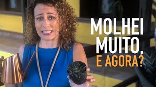 Miniatura do vídeo