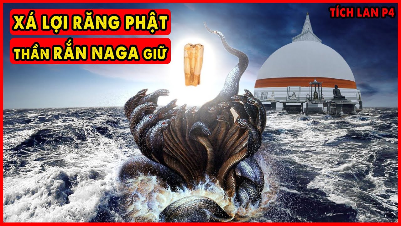 Tìm Thấy Xá Lợi Răng Phật Mất Tích ở Tộc Rắn Naga | Phật Đảo Sri Lanka P4