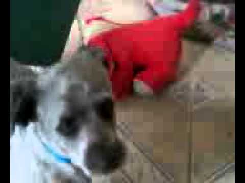 Soria gaspar vc esta na record.kkkkkkkkkkk