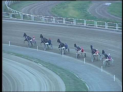 Trotto 16/09/2016 - prova di qualifica