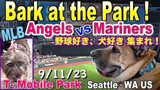 Dog-Friendly MLB Game 9/11/23|Baseball fans & dog lovers get together| Angels vs Mariners|犬と一緒に野球観戦!