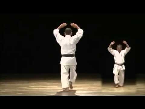 Matsumura no Passai - Yasuhiro Uema Sensei