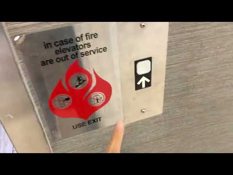 Miami Dover Impulse Hydraulic Elevator @ 15495 Professional Building, Miami Lakes, FL