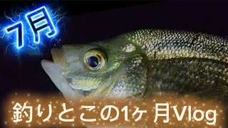 ７月のエサ釣りと日常Vlog