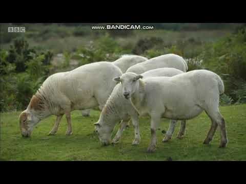 Emily Wood the weather presenter on BBC Spotlight