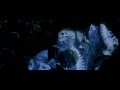 AVP Alien Vs Predator