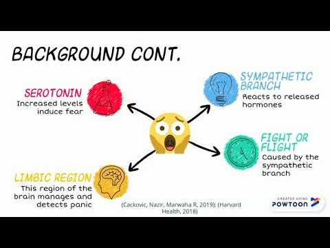 CVGS TEAM 4 SUMMARY VIDEO