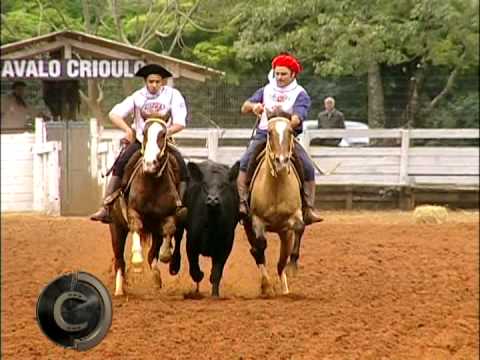 Qualifying for the Golden Brake of São Borja/RS