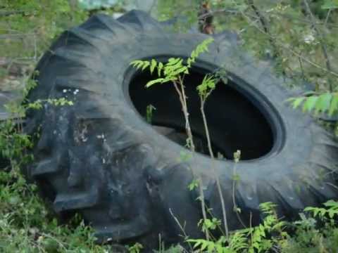 Lo Schitto. Discarica nel 2012