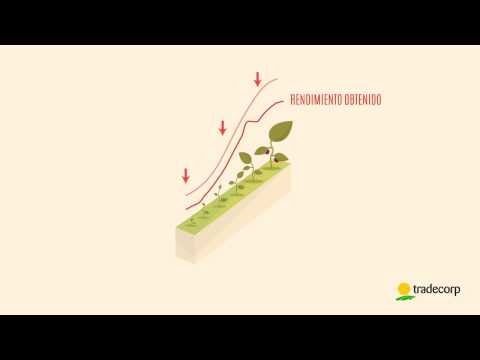 Delfan Plus - Habla el lenguaje de las plantas