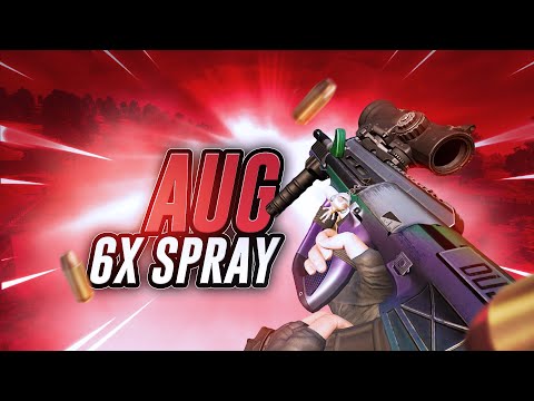 AUG 6x SPRAY FOR THE WIN !