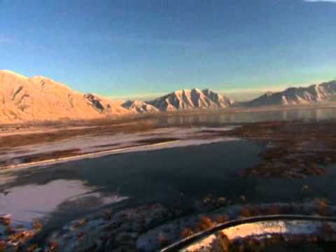 THE CELL 2 - (movie 2009) part 6/6