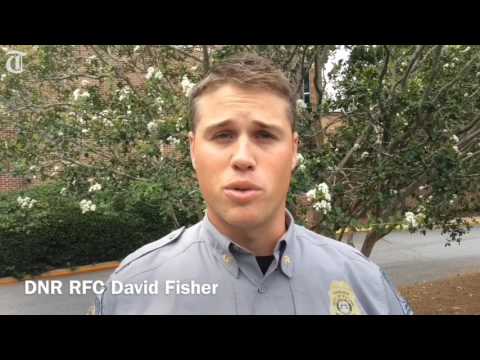 "He's amazing," museum curator says of Tank the Tortoise