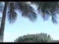 Neela Kadalin Oorathil