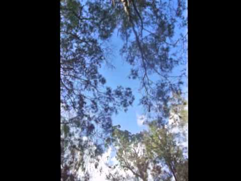 You are the Reason - Inspiar