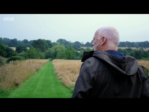 David Gilmour Wider Horizons 720p