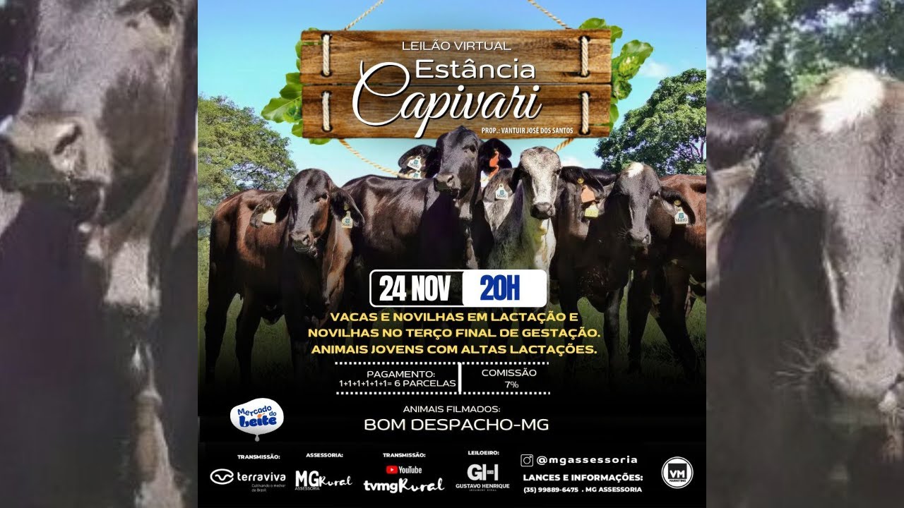 Leilão Virtual Estância Capivari | 24/11/2024  - 20H