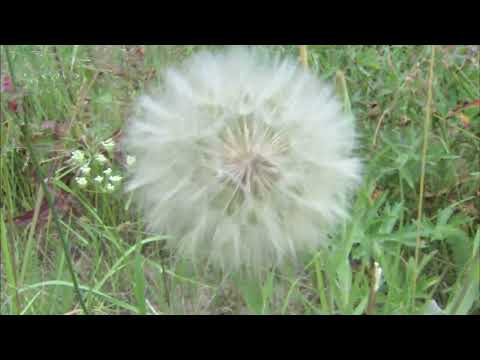 Die Erde anders gesehen