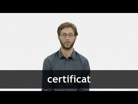 CERTIFICAT TRANSLATION IN ENGLISH intelligence overview