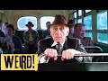 Shawshank Redemption 10 Weird Facts That Might Surprise You