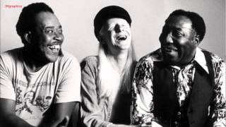 James Cotton &amp; Muddy Waters &amp; Johnny Winter - Nine Below Zero