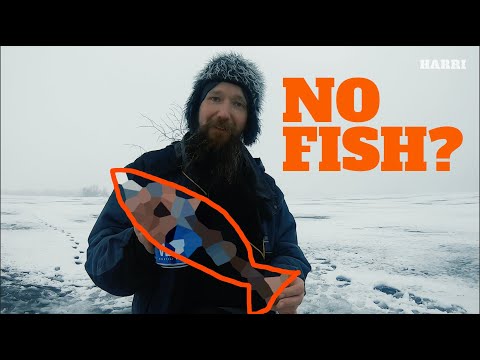 Harri Kalassa - Jakso 14 - Talviverkkojen kokeminen