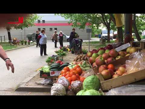 Mitrovacke price 2704