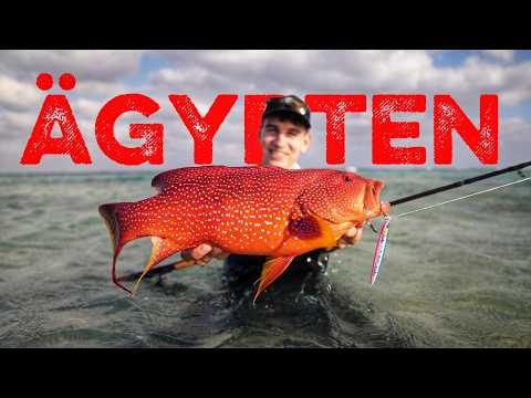 Hält mein Hechtangelgerät diesen Monstern stand?! Uferangeln in Ägypten im Roten Meer