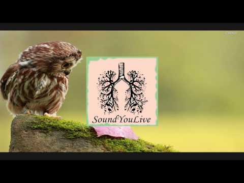 Night Owls & JVDAS - Chect It Out