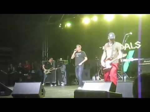 The Vandals - Urban Struggle (live at Rob Zombie’s Great American Nightmare 2013)