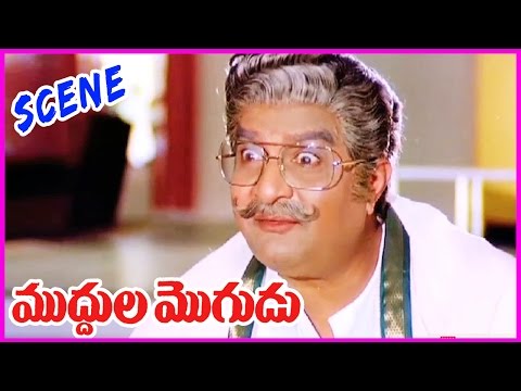 Muddula Mogudu Movie Scenes - ANR , Sridevi,Suhasini,SarathBabu