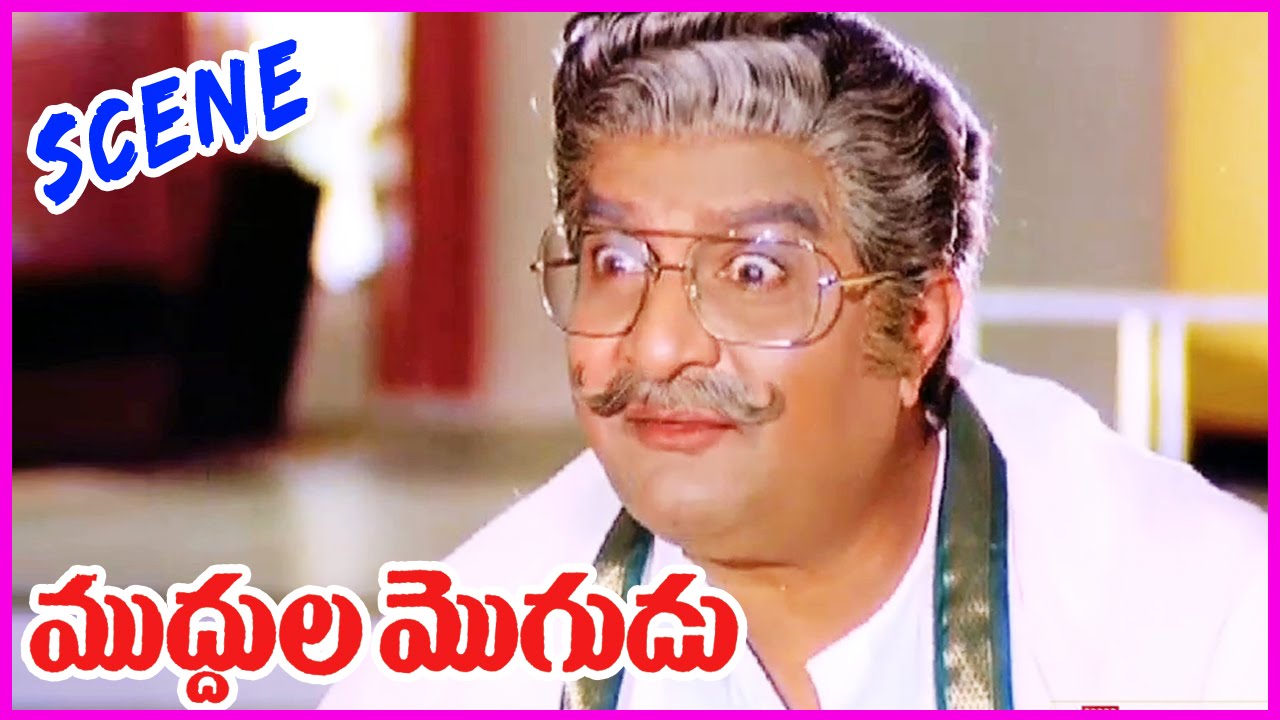 Muddula Mogudu Movie Scenes - ANR , Sridevi,Suhasini,SarathBabu