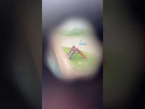 Vision Simulations of Various Eye Conditions #vision #simulation